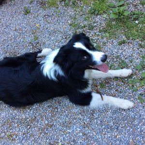 Meet your Posher, Samuel